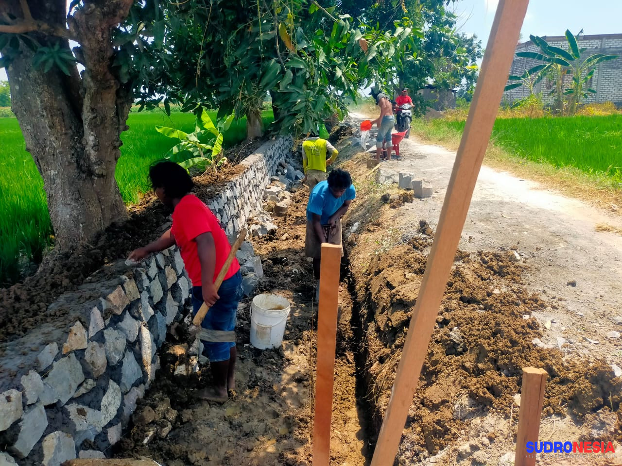 Kompak dua lembaga kebijakan public kritik pembentukan Komisi Irigasi di Gresik