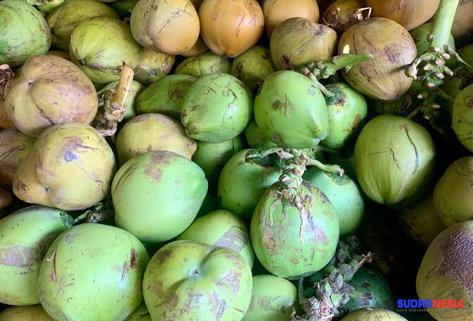 Sembilan Dapur MBG di Gresik Stop Operasi. Gresik Utara Terbanyak